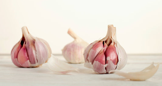 10 Ways To Support A Healthy Immune System