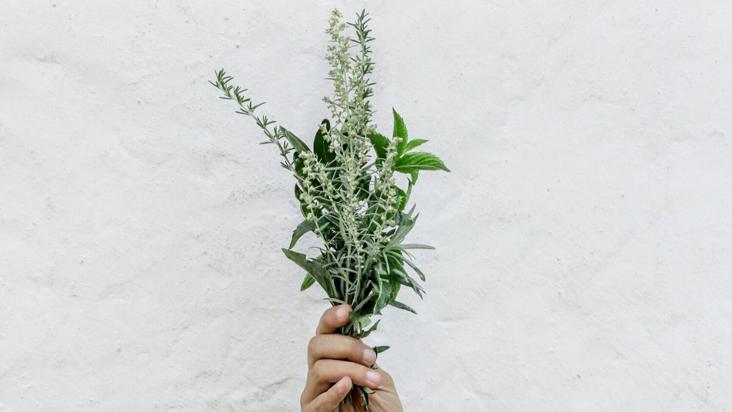 What Is An Adaptogen? SideBenefitsNutrition